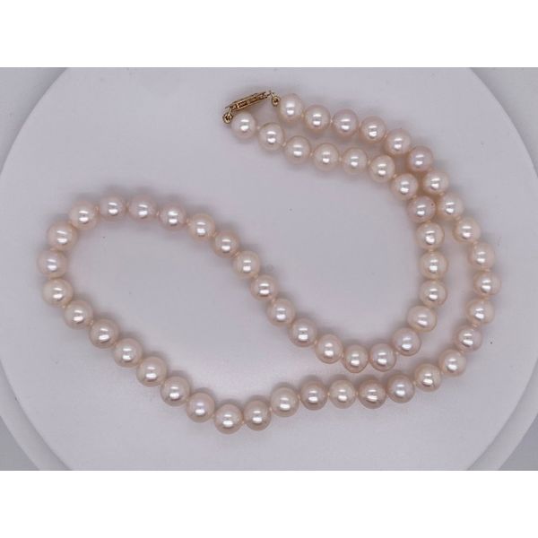 Strand Wise Family Quality Jewelers Haddon Heights, NJ
