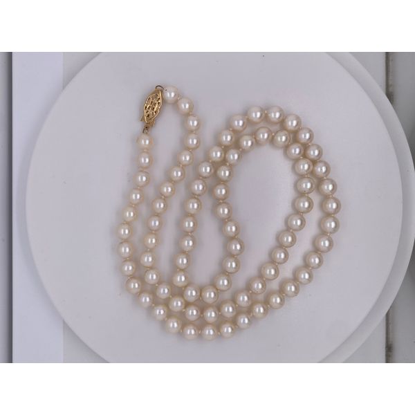 Strand Wise Family Quality Jewelers Haddon Heights, NJ