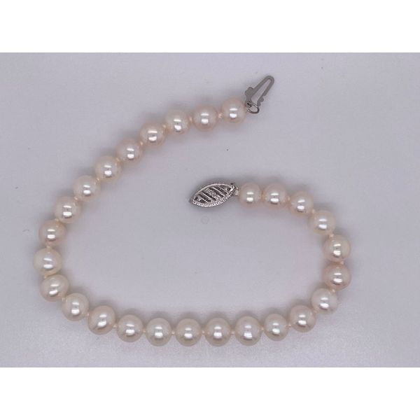 Bracelet Wise Family Quality Jewelers Haddon Heights, NJ
