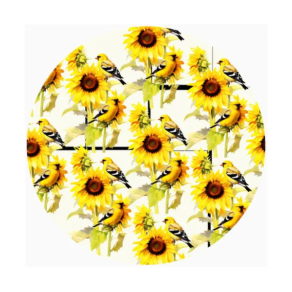 Goldfinch Sunflowers Woelk's House of Diamonds Russell, KS
