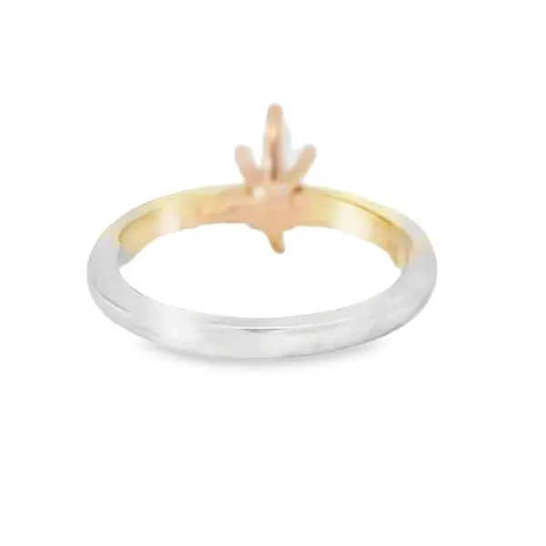 Engagement Ring Image 3 Your Jewelry Box Altoona, PA