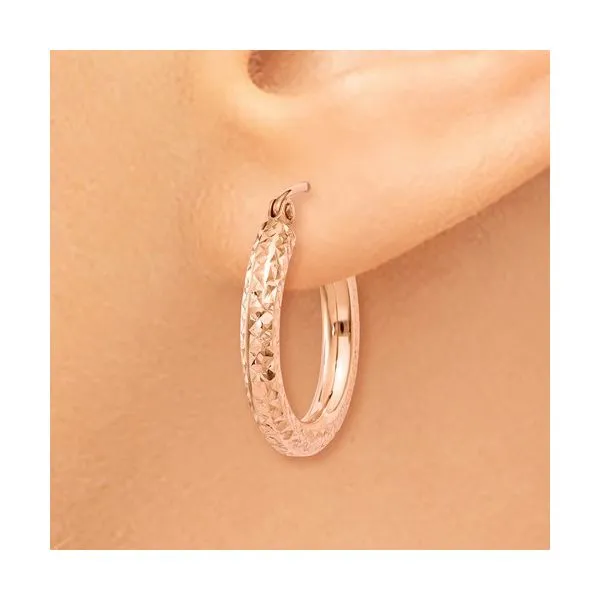 Fashion Earrings Image 3 Your Jewelry Box Altoona, PA