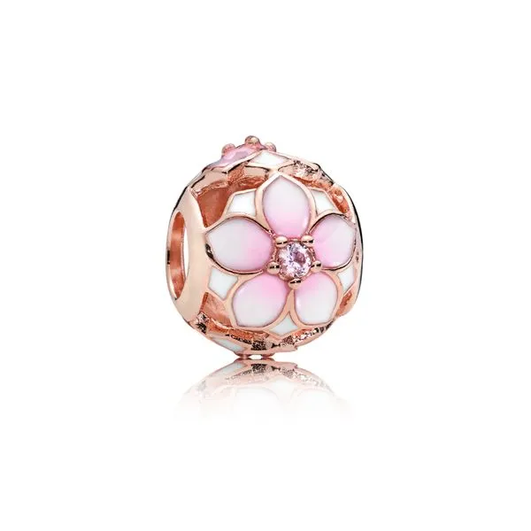 Pandora Charm Your Jewelry Box Altoona, PA