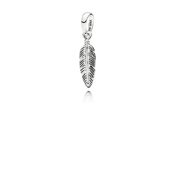 Pandora Charms Your Jewelry Box Altoona, PA