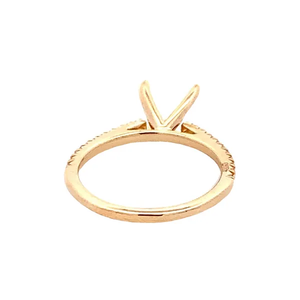 Diamond engagement ring