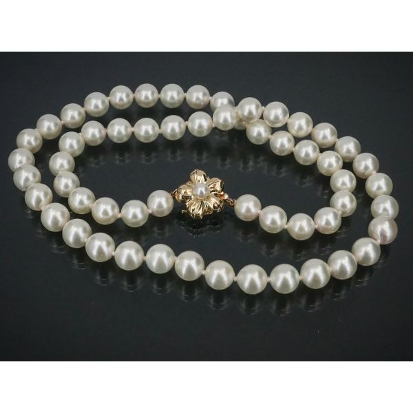 NEW 14k Yellow Gold 7mm Akoya Pearl Necklace 312g 18"L i11012 Image 2 Estate Jewelers Toledo, OH