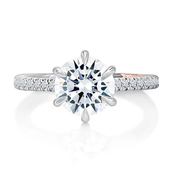 Six Prong Round Center Diamond Engagement Ring with Diamond Band Image 2 Baxter's Fine Jewelry Warwick, RI