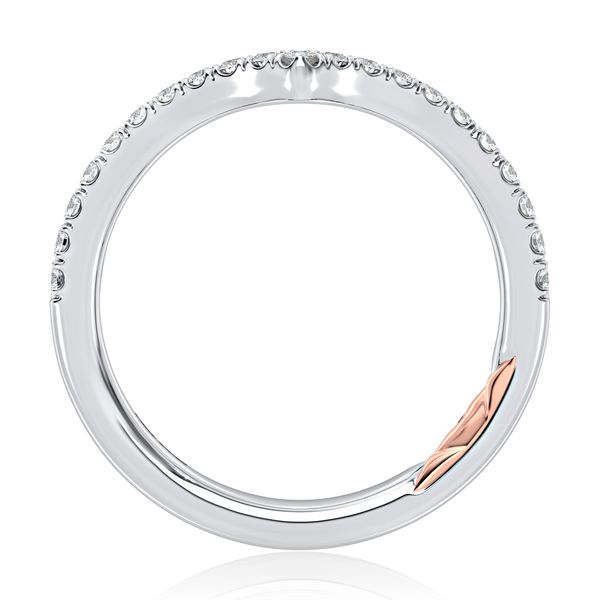 Intricate Double Row Curved Diamond Wedding Band Image 3 Sather's Leading Jewelers Fort Collins, CO
