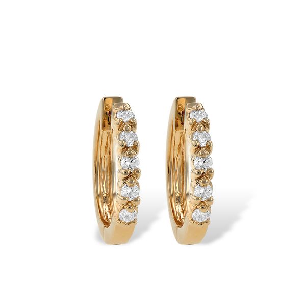 14KT Gold Earrings James Douglas Jewelers LLC Monroeville, PA