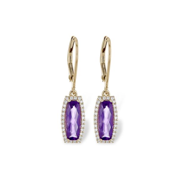 14KT Gold Earrings Leslie E. Sandler Fine Jewelry and Gemstones rockville , MD