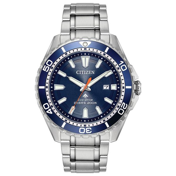 CITIZEN Eco-Drive Promaster Eco Dive Mens Stainless Steel | The Diamond  Shop, Inc. | Lewiston, ID
