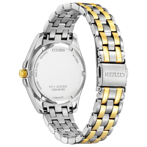 CITIZEN Eco-Drive Dress/Classic Eco Peyten Ladies Stainless Steel Image 2 House of Silva Wooster, OH