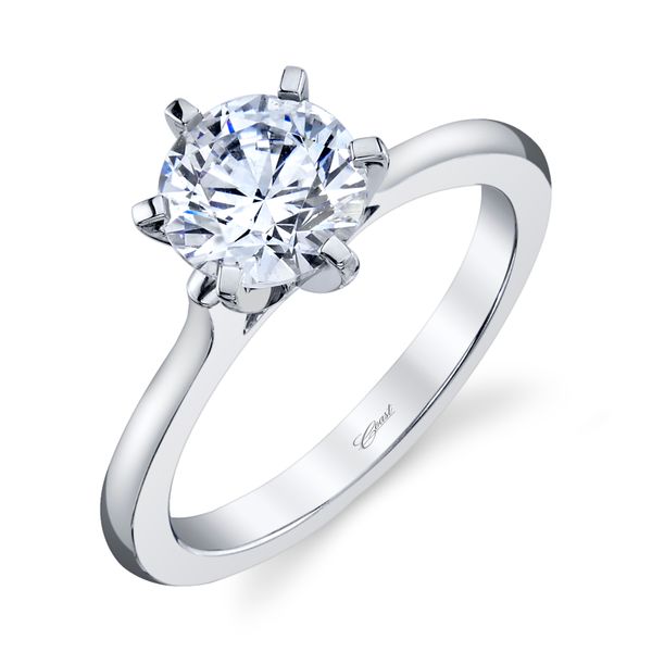 Diamond Engagement Ring Van Scoy Jewelers Wyomissing, PA