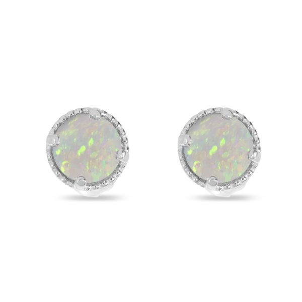 14K White Gold 4mm Round Opal Millgrain Halo Earrings Segner's Jewelers Fredericksburg, TX