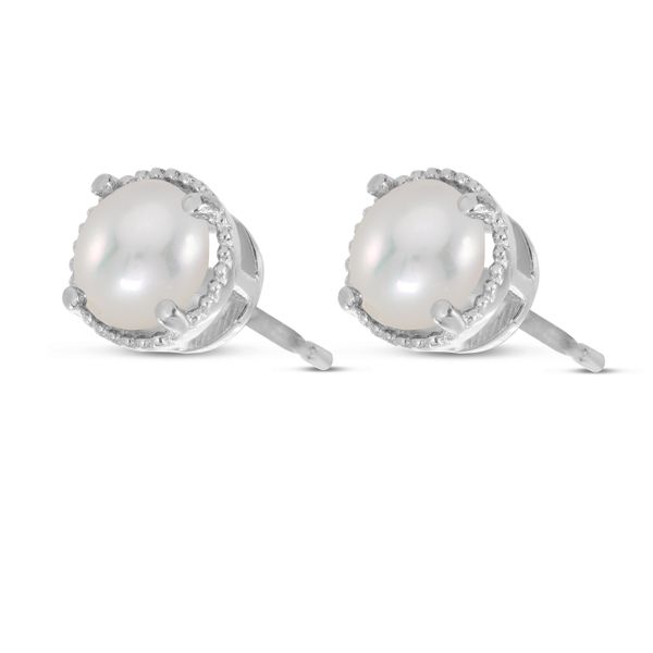 14K White Gold 5mm Round Pearl Millgrain Halo Earrings Image 2 Glatz Jewelry Aliquippa, PA