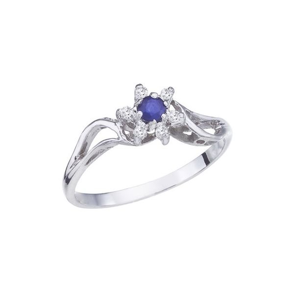 10K White Gold Sapphire and Diamond Star Ring Lewis Jewelers, Inc. Ansonia, CT