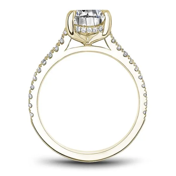 Noam Carver Engagement Ring B354-01YM-FCYA | D. Geller & Son Jewelers ...