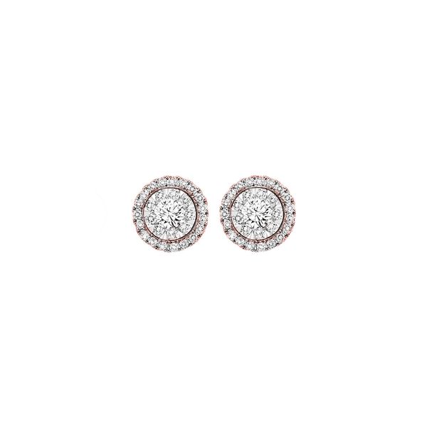 14Kt Rose Gold Diamond 1/2Ctw Earring Cone Jewelers Carlsbad, NM