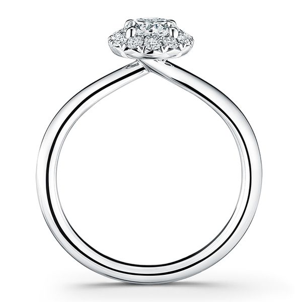 Vela Halo Ring Image 3 Harris Jeweler Troy, OH