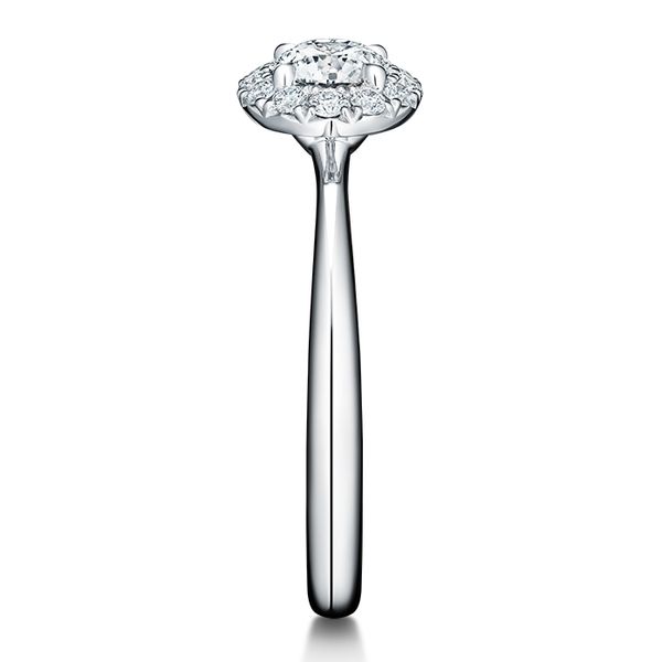 Vela Halo Ring Image 4 Harris Jeweler Troy, OH