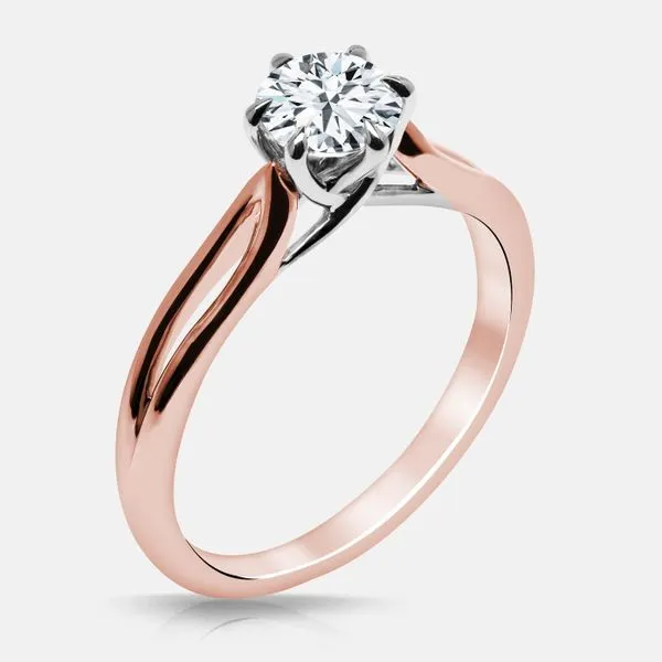 Sadie Solitaire