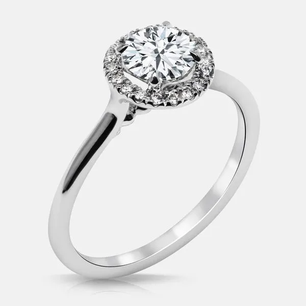 Raelen Halo similar item image