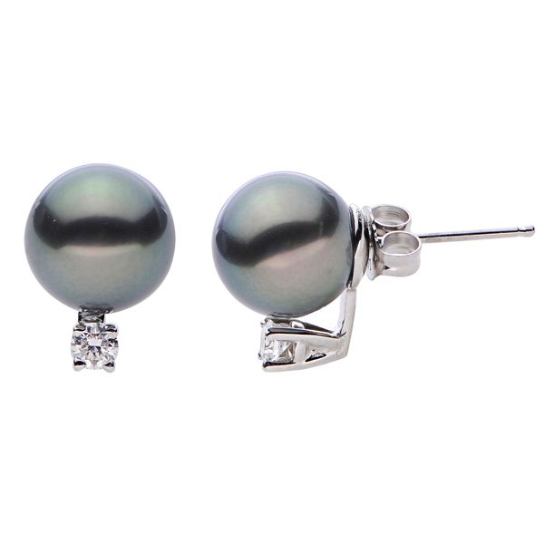 14KT White Gold Tahitian Pearl Earring Henry B. Ball Jewelers Canton, OH