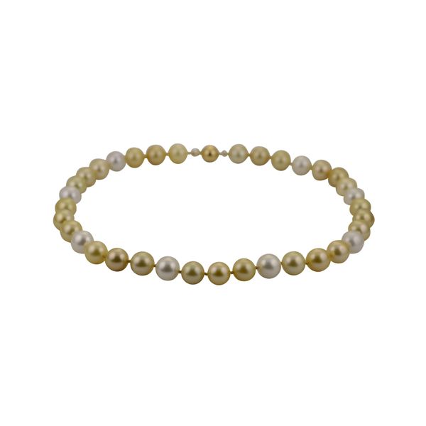 18KT Yellow Gold Golden South Sea Pearl Necklace Carroll / Ochs Jewelers Monroe, MI