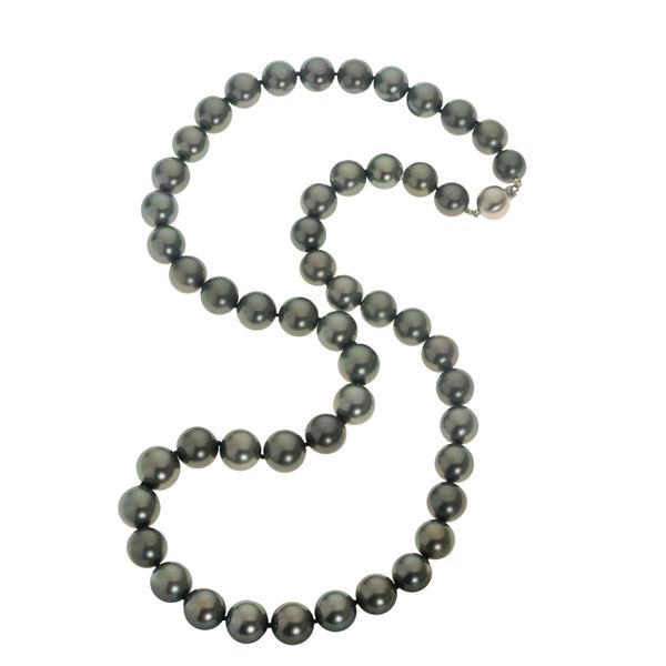 14KT White Gold Tahitian Pearl Necklace Douglas Jewelers Conroe, TX