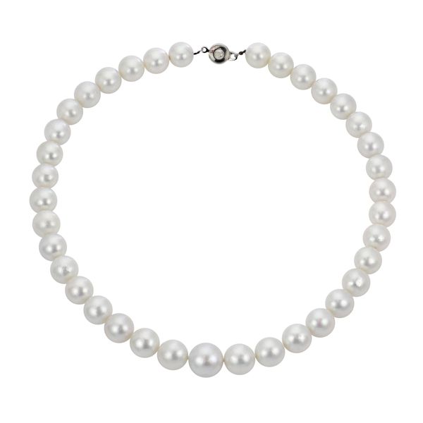 White South Sea Pearl Necklace Douglas Jewelers Conroe, TX