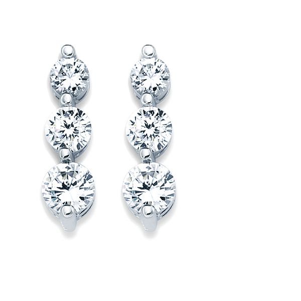 14k White Gold Diamond Earrings Elliott Jewelers Waukon, IA