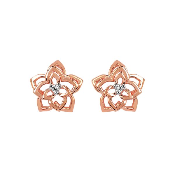 14k Rose Gold Diamond Earrings Bell Jewelers Murfreesboro, TN