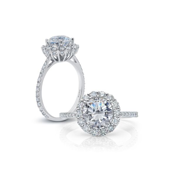 Peter Storm Platinum Engagement Ring James & Williams Jewelers Berwyn, IL
