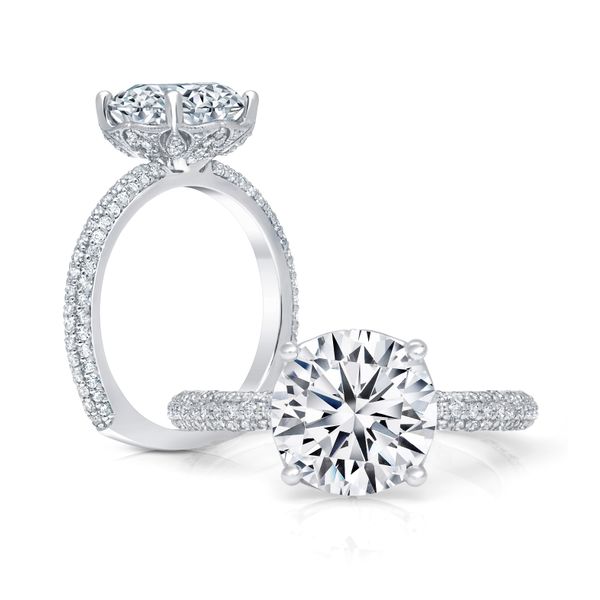 18k White Engagement Ring James & Williams Jewelers Berwyn, IL
