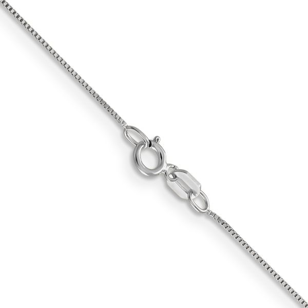 Leslie's 14K White Gold .5mm Baby Box with Spring Ring Clasp Chain Image 3 Minor Jewelry Inc. Nashville, TN