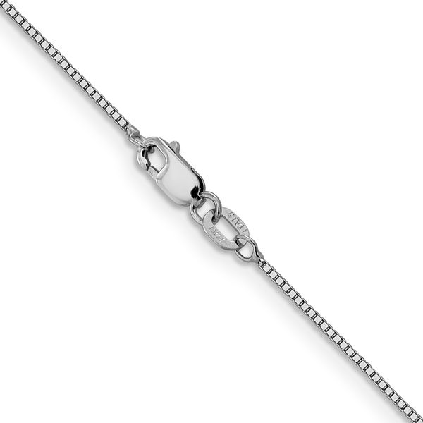 Leslie's 14K White Gold .8mm Box with Lobster Clasp Chain Image 3 Brummitt Jewelry Design Studio LLC Raleigh, NC