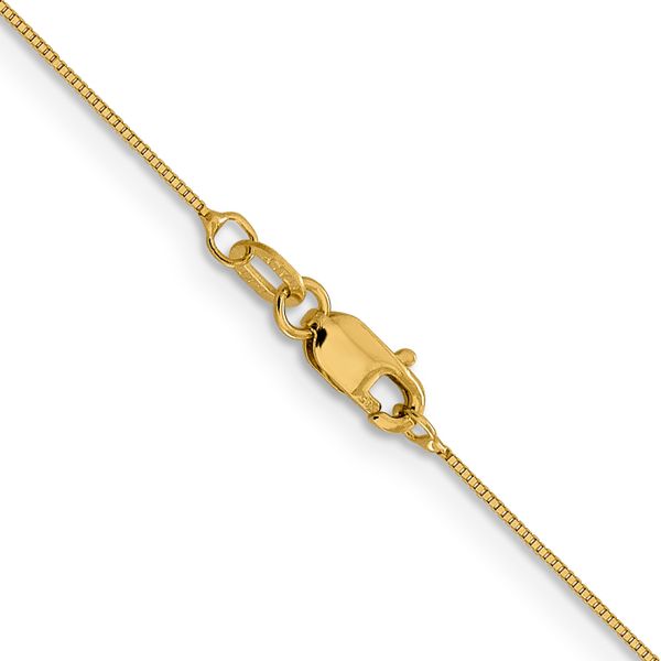 Leslie's 14K .5mm Baby Box with Lobster Clasp Chain Image 3 Minor Jewelry Inc. Nashville, TN