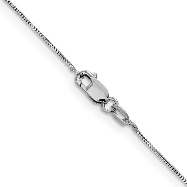 Leslie's 14K White Gold .5mm Baby Box with Lobster Clasp Chain Image 3 Peran & Scannell Jewelers Houston, TX