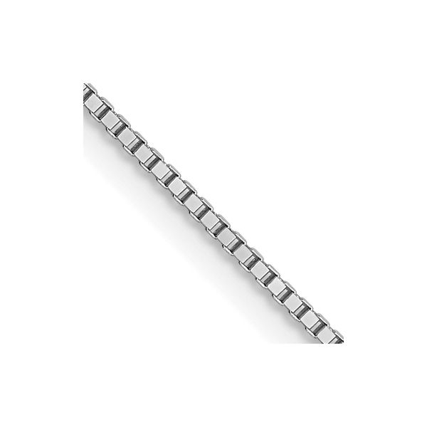 Leslie's 14K White Gold .7mm Box with Lobster Clasp Chain L.I. Goldmine Smithtown, NY
