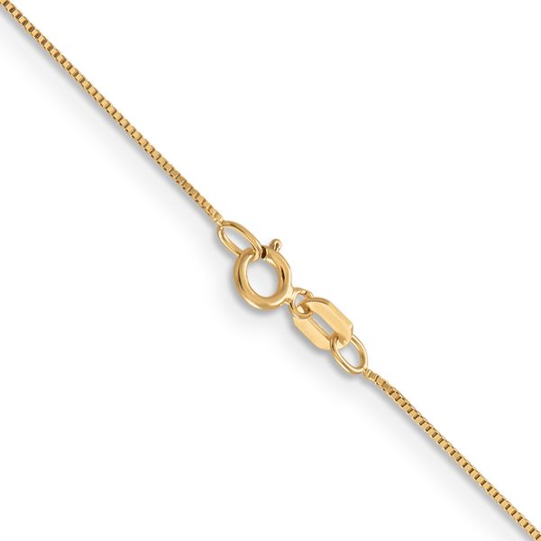 Leslie's 14K .5mm Baby Box with Spring Ring Clasp Chain Image 3 Peran & Scannell Jewelers Houston, TX