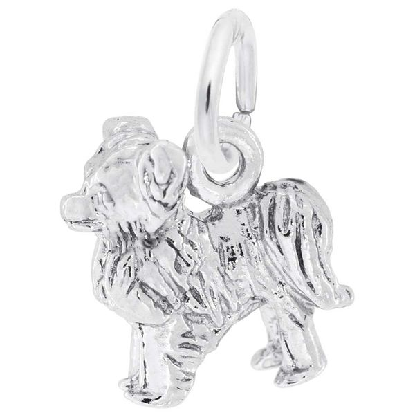 Rembrandt Charms DOG PAPILLON 10239701000 SS - Charms