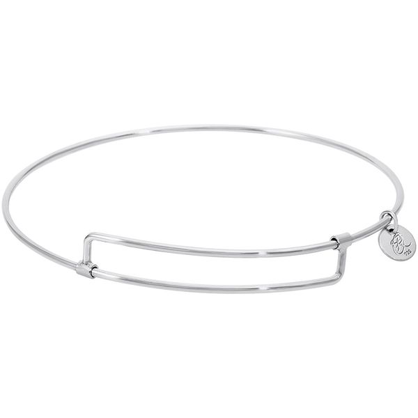 PURE BANGLE BY REMBRANDT CHARMS Mari Lou's Fine Jewelry Orland Park, IL