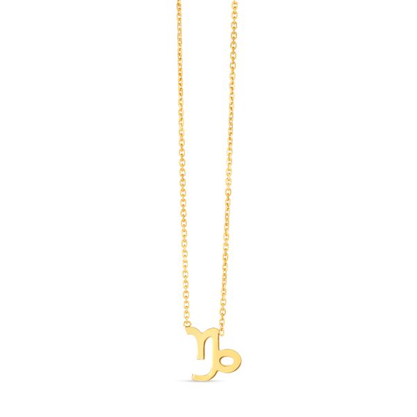 14K Gold Capricorn Necklace Jewel Smiths Oklahoma City, OK