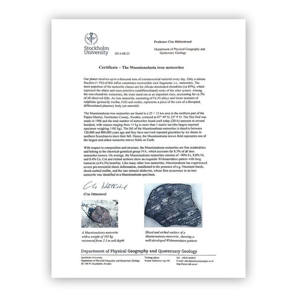 Meteorite Inlay Black Plated Notch Ring Image 4 Morin Jewelers Southbridge, MA