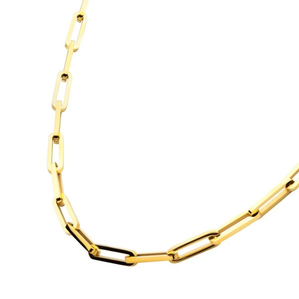 Gold IP Steel Paperclip Link Chain Necklace Image 3 Selman's Jewelers-Gemologist McComb, MS