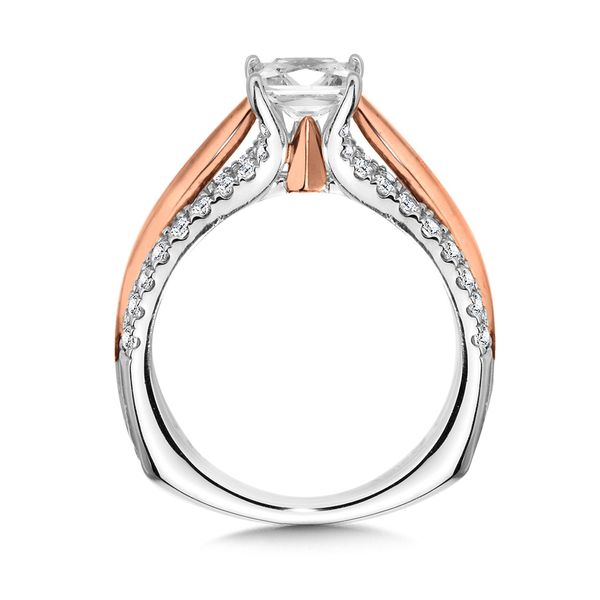 Two-Tone Straight Diamond Engagement Ring w/ Princess-Cut Center Image 2 Glatz Jewelry Aliquippa, PA