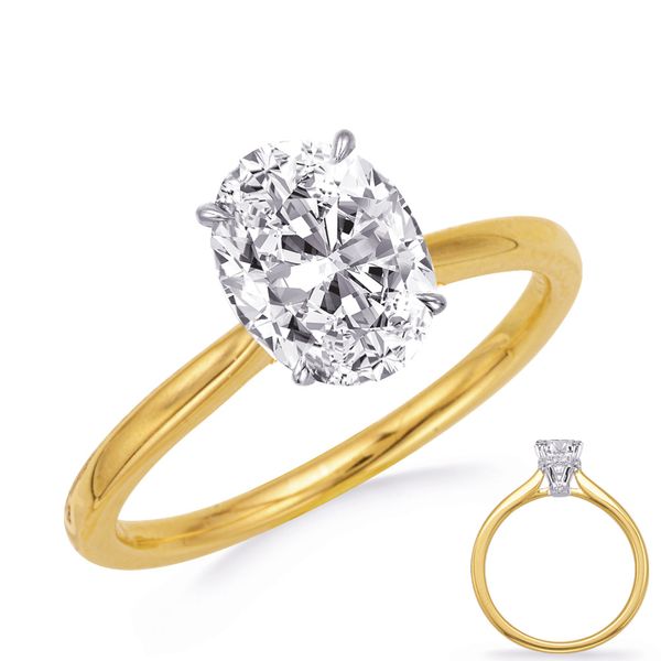 White & Yellow Gold Engagement Ring Grogan Jewelers Florence, AL