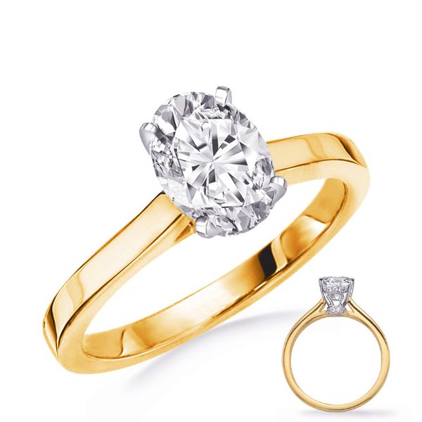 Yellow & White Gold Engagement Ring Raleigh Diamond Fine Jewelry Raleigh, NC