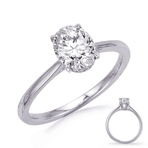 White Gold Engagement Ring Trinity Diamonds Inc. Tucson, AZ