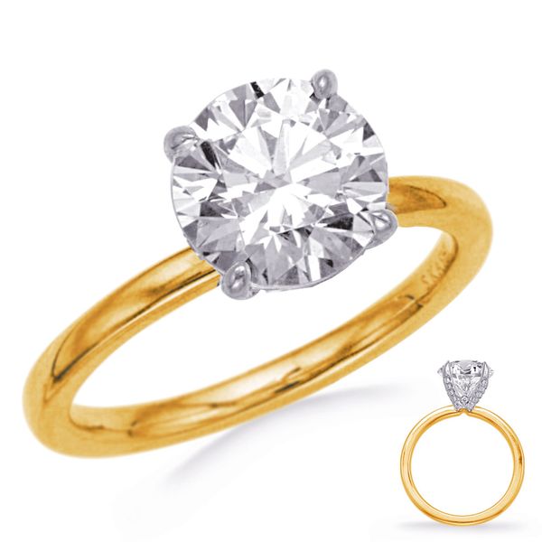 White & Yellow  Gold Engagement Godwin Jewelers, Inc. Bainbridge, GA